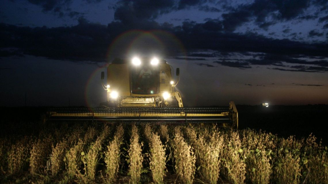 An evening harvest in Buenos Aires Province.