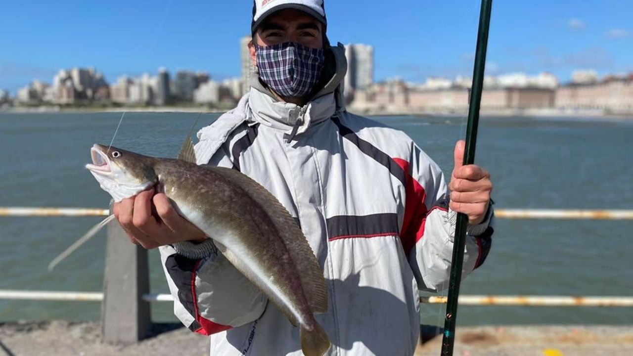 Línea de pesca de sardinas a barras -  - Todo para tus  actividades náuticas