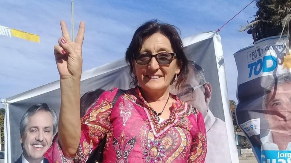 Alcira Elsa Figueroa reemplazo ameri