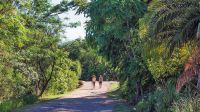 20200926_plazas_costanera_sur_botanico_gcba_g