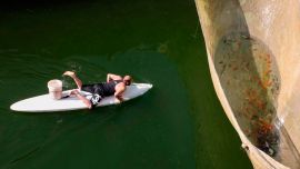 El palestino Murad Abu Eram usa una tabla de surf para recolectar peces de una red en su granja de peces en la aldea de Yatta en Cisjordania.