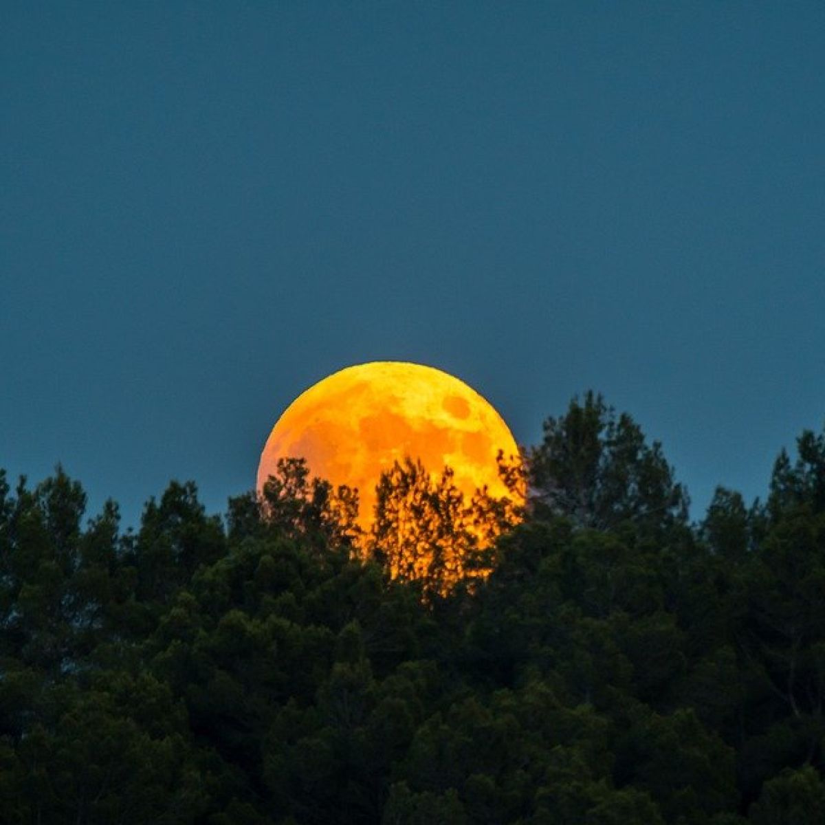 Marie Claire Luna De Hoy En Acuario La Mas Sorpresiva Asi Afecta A Tu Signo El 23 De Octubre