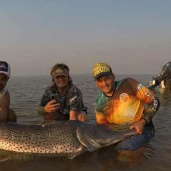 Pesca de grandes dorados y surubíes en el río Paraná