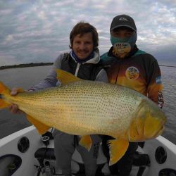 Pesca de grandes dorados y surubíes en el río Paraná