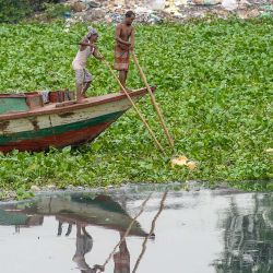 Hombres en un bote usan palos para abrirse paso a través de las plantas de jacinto en el río Buriganga en Dhaka. | Foto:Munir Uz zaman / AFP