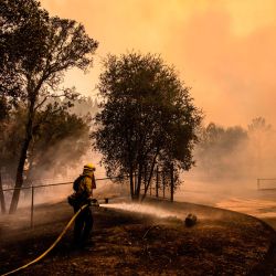 Los bomberos de Cal Fire trabajan para proteger la planta de tratamiento de agua de St. Helena del incendio de vidrio en Napa Valley, California. | Foto:Samuel Corum / AFP
