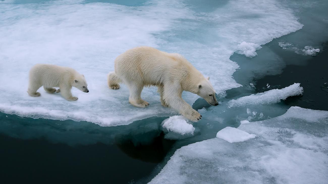  derretimiento tremendo  del hielo antártico