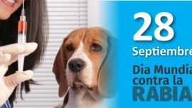 La fecha fue elegida en memoria al científico francés Louis Pasteur, quien descubrió la vacuna contra la rabia.