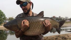 Pescan carpa récord en Córdoba.
