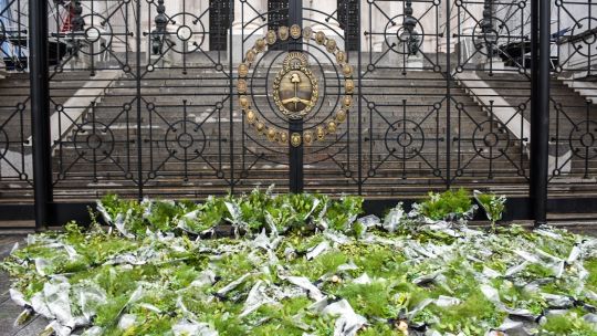 Aborto: el Congreso de la Nación Argentina se llenó de ramos de perejil