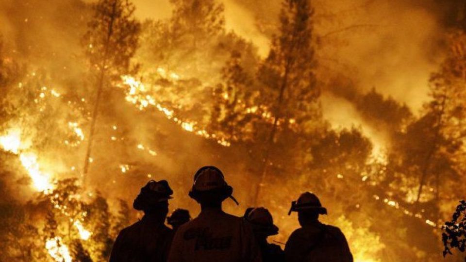 En Argentina, desde que comenzó el año no cesan los incendios en distintas provincias.