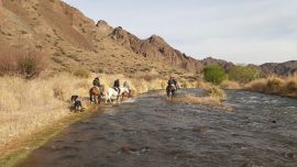 Los petroglifos hallados contienen, entre otras representaciones, figuras antropomórficas y zoomórficas”.