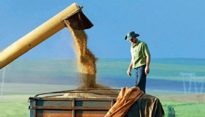 Cosecha en el campo