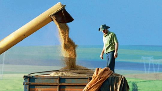 Cosecha en el campo