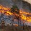 More than 400,000 hectares burned in fires since turn of year