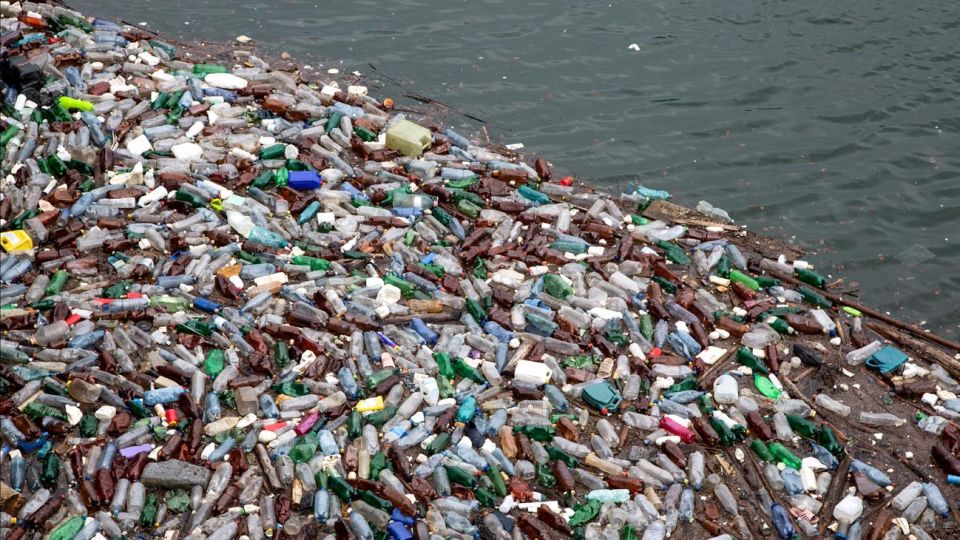 Mar contaminado