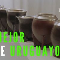 Mates Imperio Verde