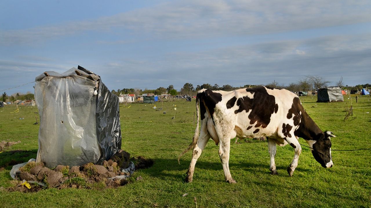 Continúa en Guernica el acuerdo de retiro voluntario.