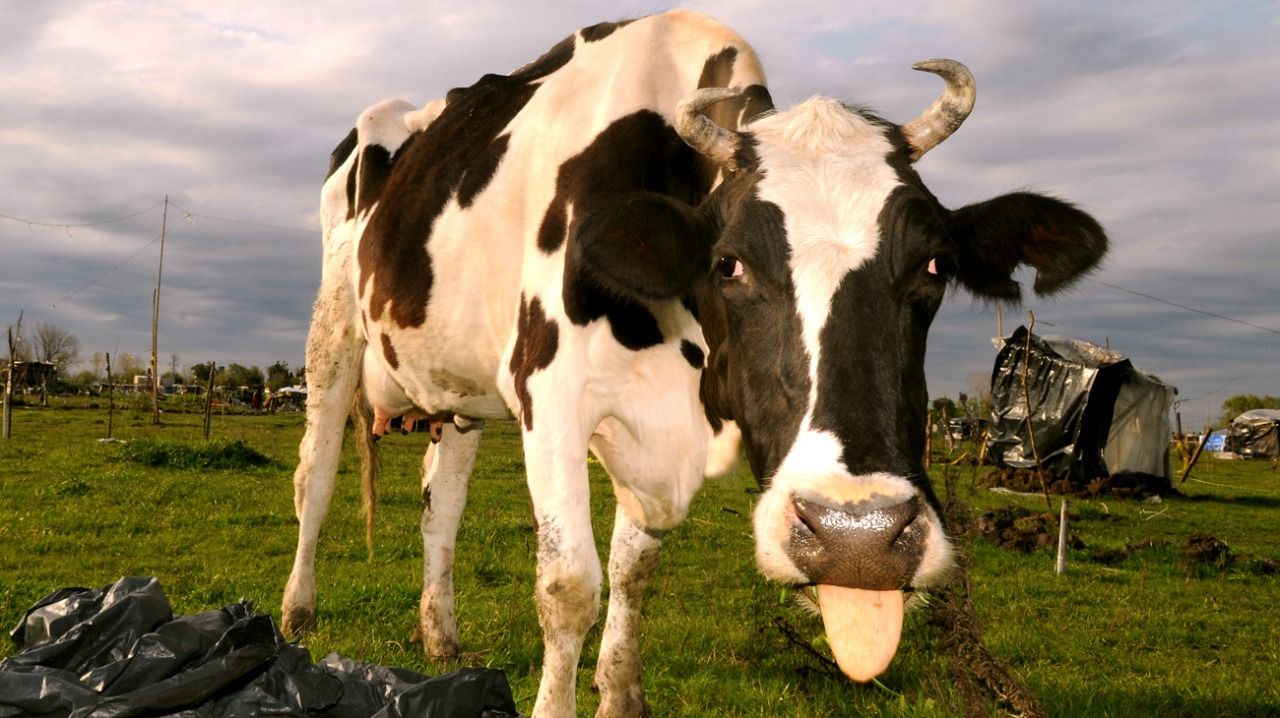 Continúa en Guernica el acuerdo de retiro voluntario.