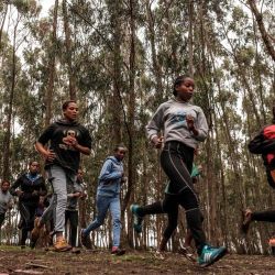 Un grupo de jóvenes corredores entrenan en un bosque en la aldea de Bekoji, Etiopía. | Foto:EDUARDO SOTERAS / AFP