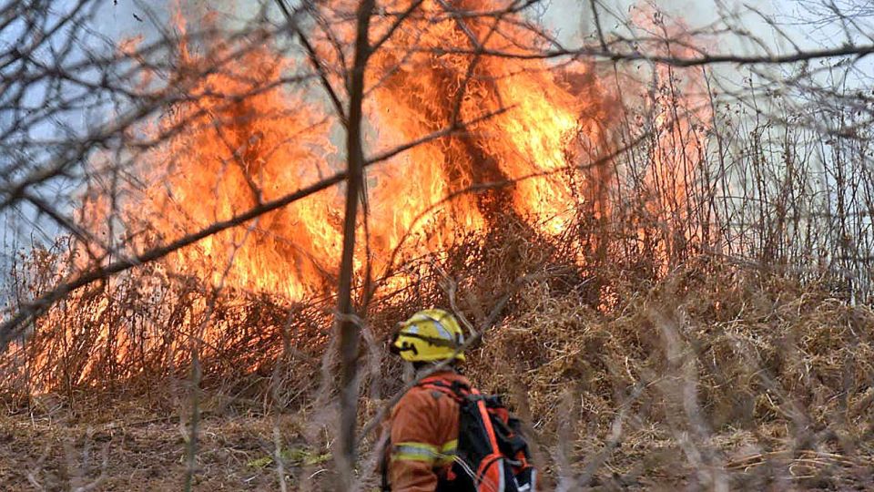 20201003_incendio_cordoba_telam_g