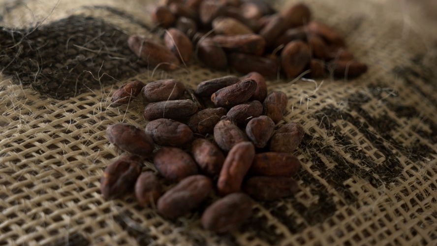 cae venta de cacao mundialmente