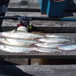 Con sudestada y todo, en la pesca la pasión puede más que el mal clima