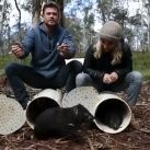 Las fotos virales de Chris Hemsworth y su esposa rescatando animales 