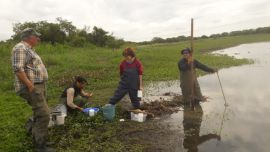Hallaron casi 9 mil especies de bacterias en el rio Paraná