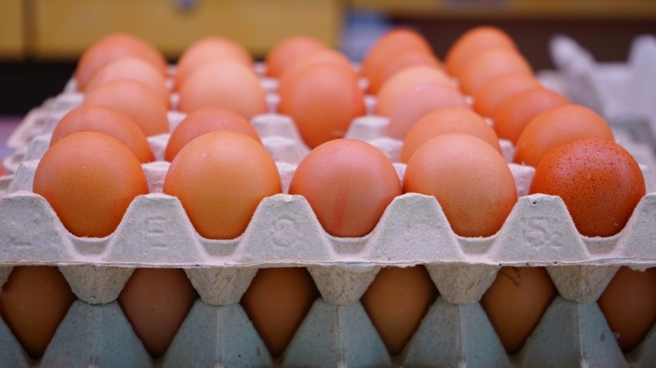 Huevos