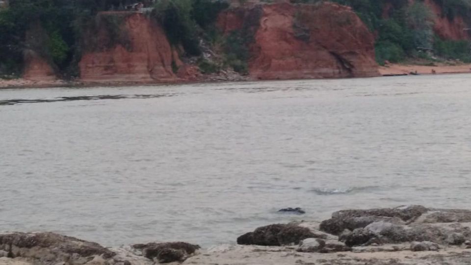 Por la bajante del río Paraguay descubren los restos de un islote volcánico rocoso