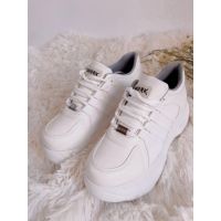 Shork Shoes