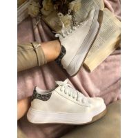 Shork Shoes