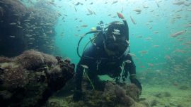 El hallazgo fue hecho por buzos polacos en las profundidades del mar Bálticotaban