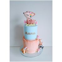 Nuna Cupcakes