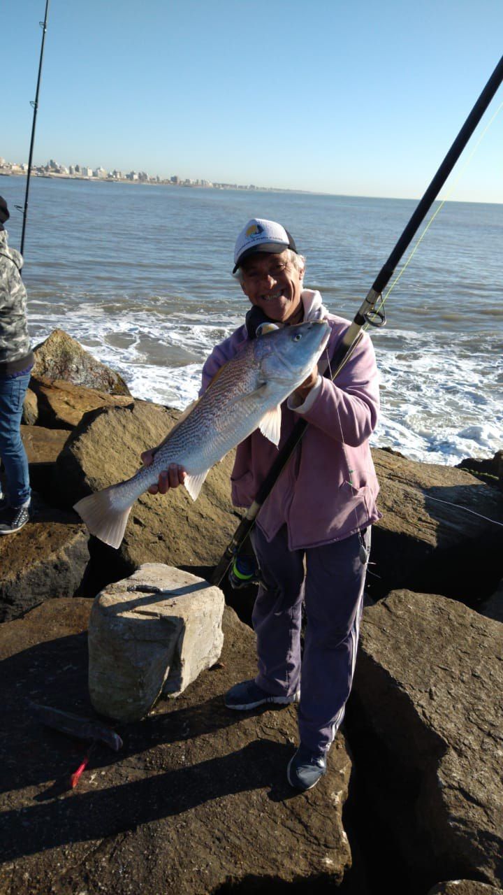 La pesca en Mar del Plata: Pesca deportiva