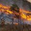 Incendios descontrolados en Córdoba