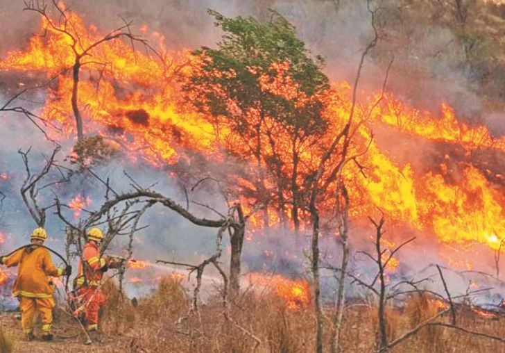 230 MIL HECTÁREAS QUEMADAS. El 2020 es récord histórico en superficie afectada en la Provincia. El gobernador Juan Schiaretti admitió que se preveía la mayor sequía de los últimos 65 años. 