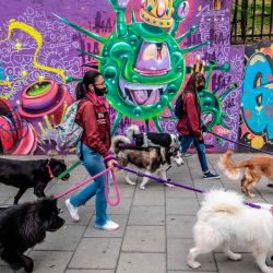 Los paseadores de perros pasan por un muro con grafitis que representan el coronavirus en Bogotá, en medio de la nueva pandemia de coronavirus. | Foto:Juan Barreto / AFP