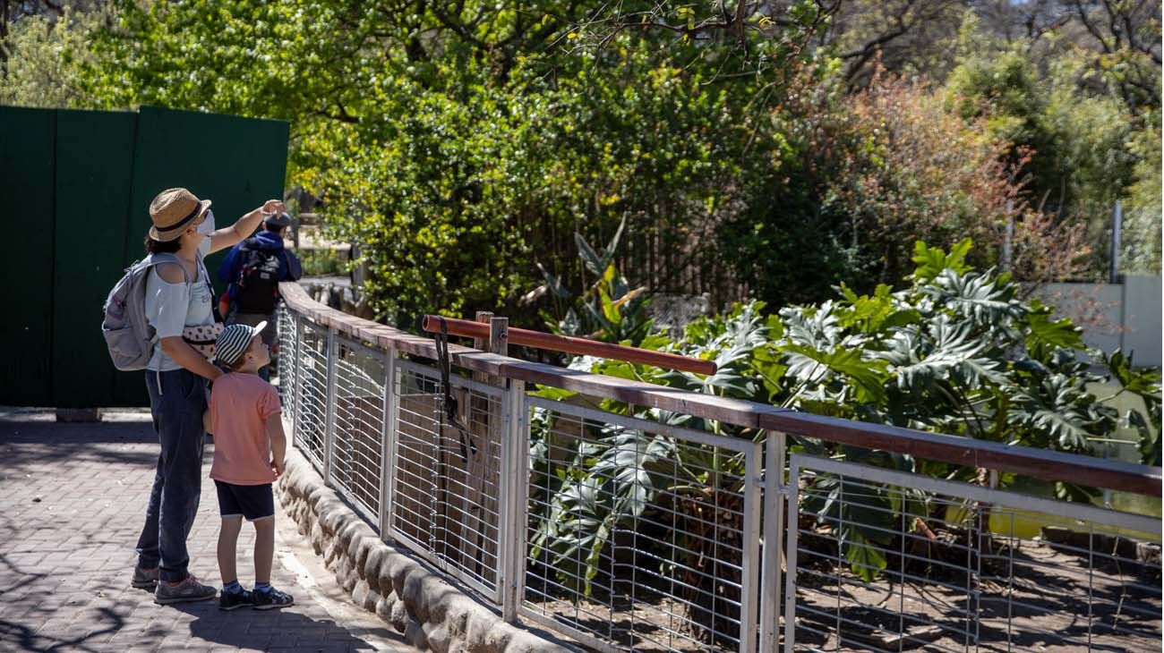 Reapertura Ecoparque porteño.