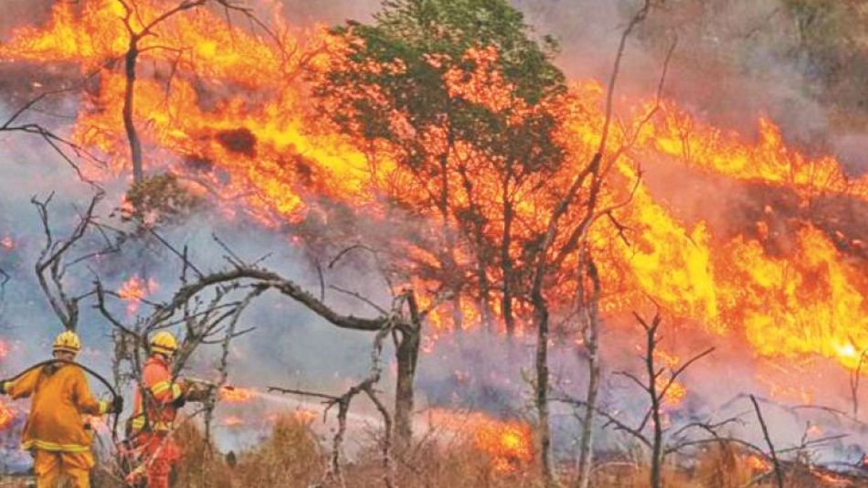 2020_10_11_incendios_cedocperfil