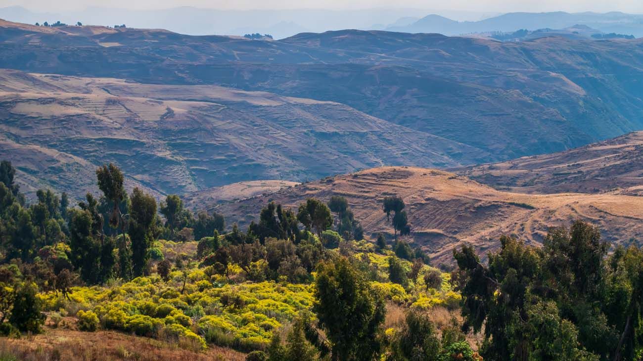Cazadores en África.