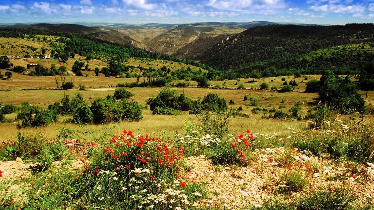 Cazadores en África.