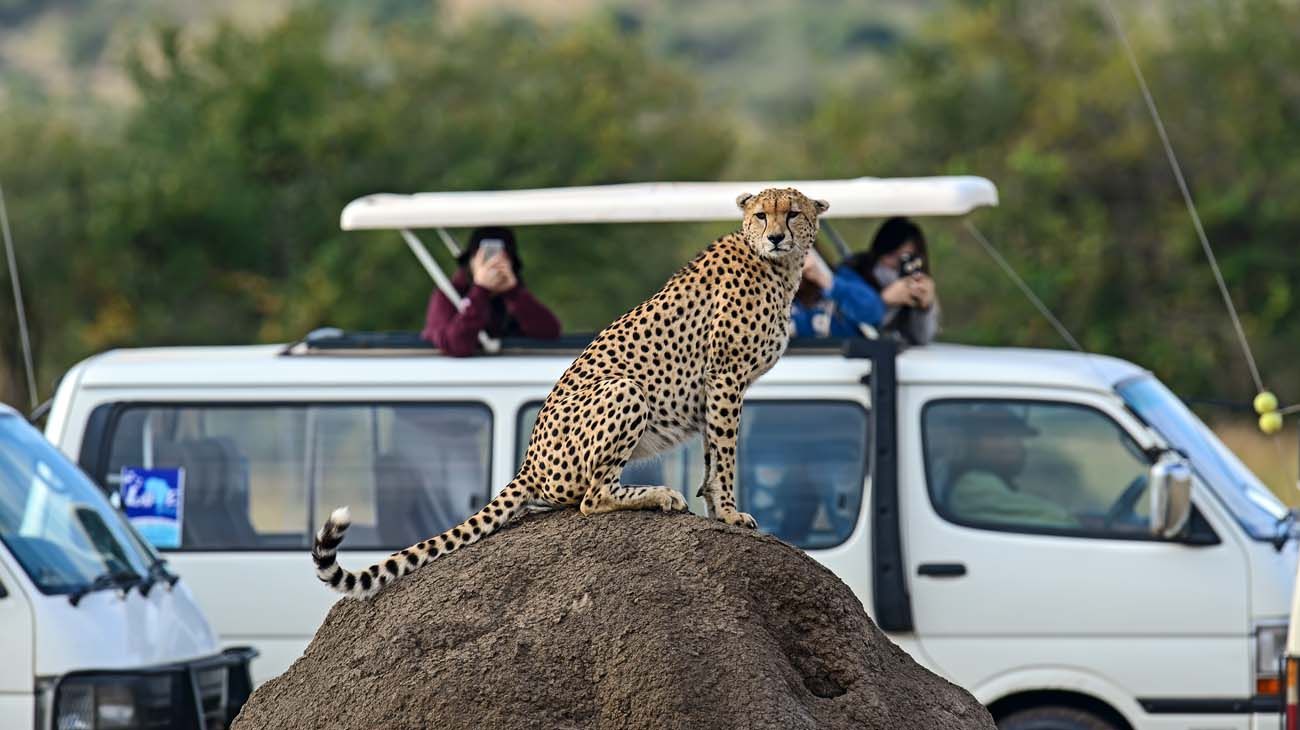 Cazadores en África.