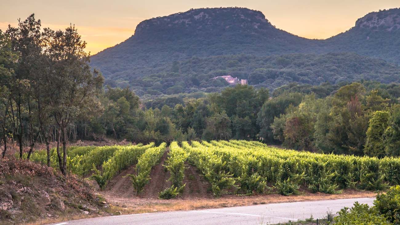 Cazadores en África.