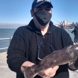 En el Club de Pesca Mar del Plata los concursos de pesca adquieren un nuevo formato virtual.