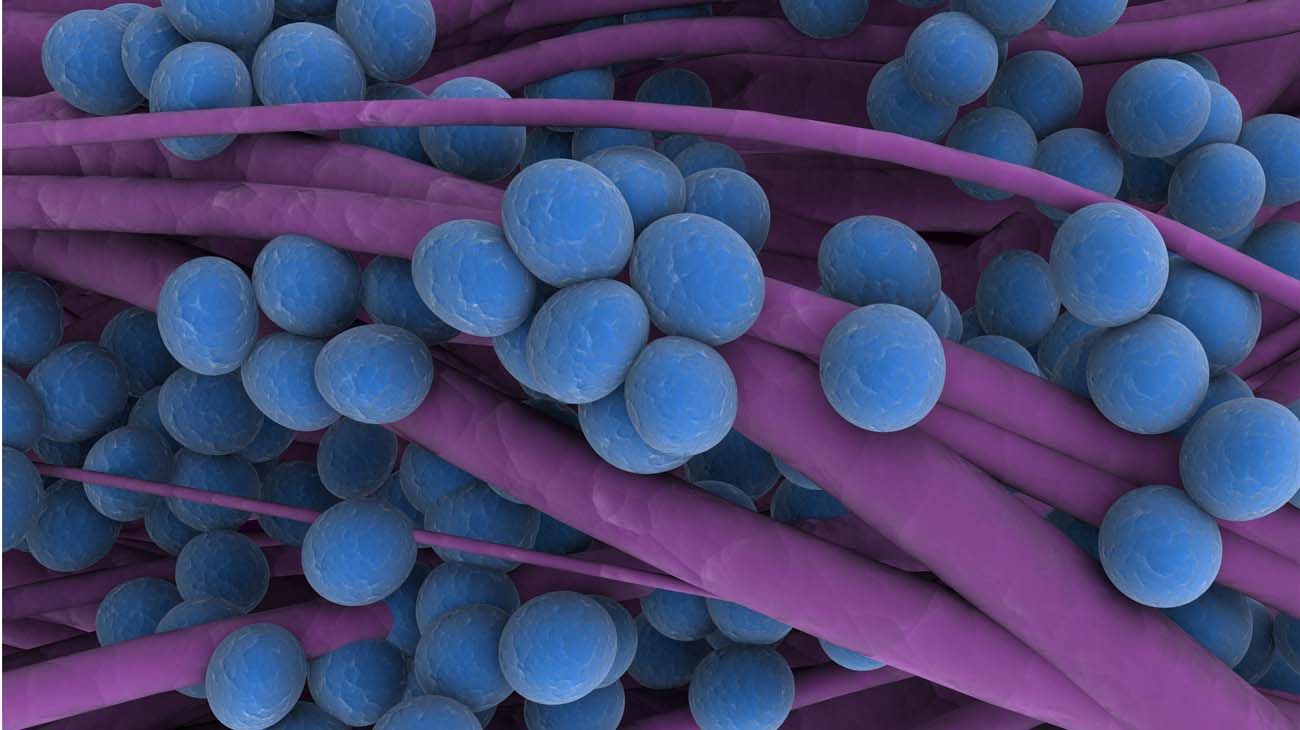 "bacterias en la Estación Espacial Internacional?"