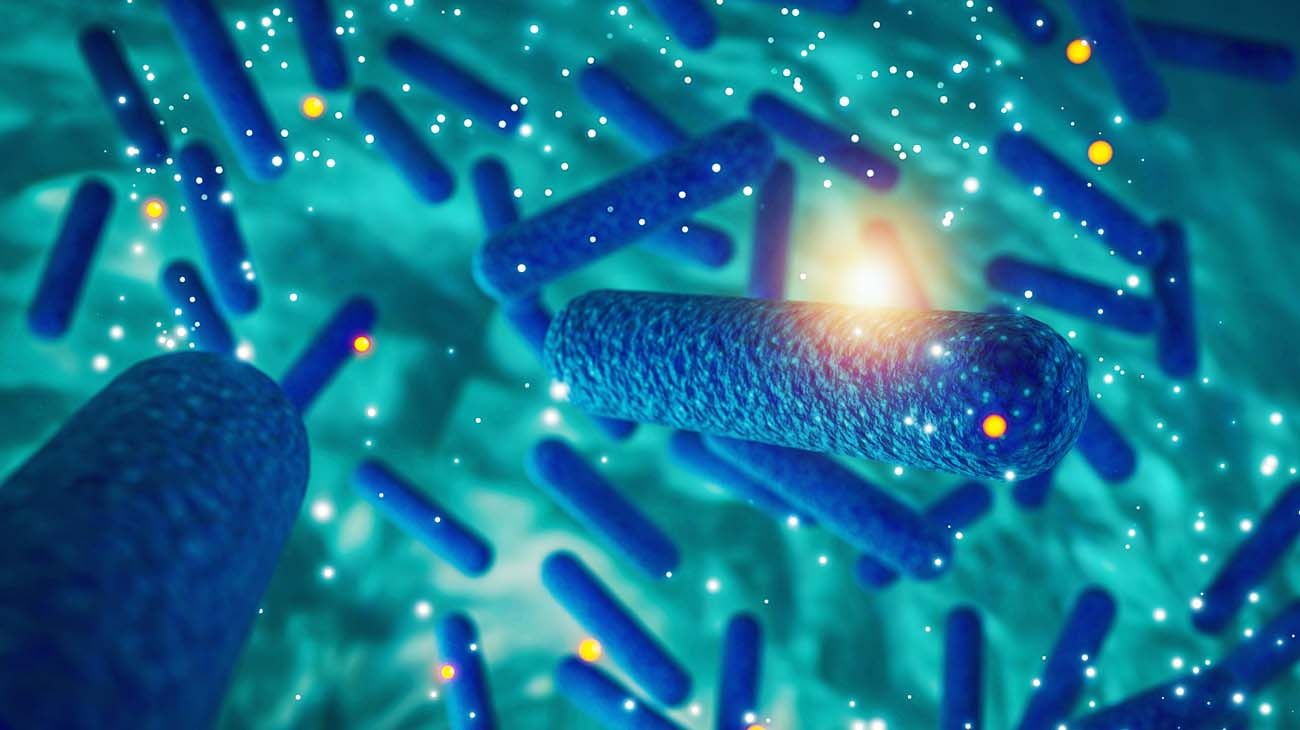 "bacterias en la Estación Espacial Internacional?"