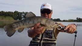 El calor activó las tarariras en la laguna de San Miguel del Monte, y fuimos por ellas.