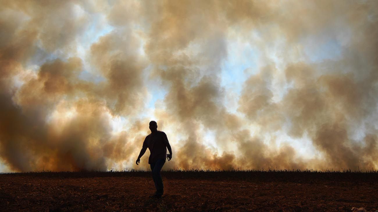 Incendios en Amazonas y Pantanal Brasil